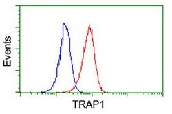 TRAP1 Mouse anti-Canine, Human, Rat, Clone: OTI1H8, lyophilized, TrueMAB