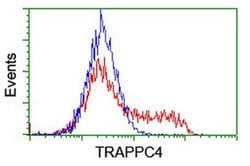 TRAPPC4 Monoclonal Antibody (OTI2E1), TrueMAB , OriGene 100 &mu;L; Unconjugated:Antibodies,