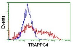 TRAPPC4 Monoclonal Antibody (OTI2G8), TrueMAB , OriGene 100 &mu;L; Unconjugated:Antibodies,