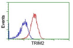 TRIM2 Mouse anti-Human, Rat, Clone: OTI4E5, lyophilized, TrueMAB 100 &mu;g;