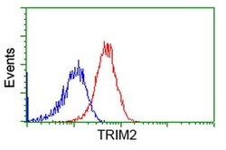 TRIM2 Monoclonal Antibody (OTI4E5), TrueMAB , OriGene:Antibodies:Primary