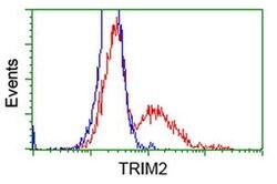 TRIM2 Monoclonal Antibody (OTI1D2), TrueMAB , OriGene 100 &mu;L; Unconjugated:Antibodies,