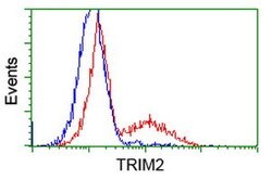 TRIM2 Mouse anti-Human, Clone: OTI2B10, lyophilized, TrueMAB 100 &mu;g;