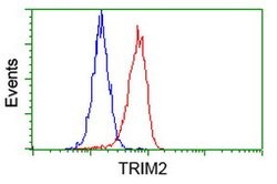 TRIM2 Mouse anti-Human, Clone: OTI2B10, lyophilized, TrueMAB 100 &mu;g;