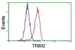 TRIM2 Mouse anti-Human, Clone: OTI2B10, TrueMAB , Origene 30 &mu;L; Unconjugated:Antibodies,