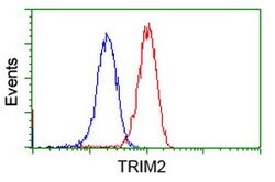 TRIM2 Mouse anti-Human, Clone: OTI2B10, lyophilized, TrueMAB 100 &mu;g;