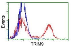 TRIM9 Monoclonal Antibody (OTI2A9), TrueMAB , OriGene:Antibodies:Primary