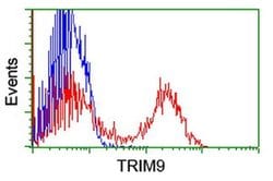 TRIM9 Monoclonal Antibody (OTI2H3), TrueMAB , OriGene 100 &mu;L; Unconjugated:Antibodies,