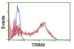 TRIM9 Monoclonal Antibody (OTI1G10), TrueMAB , OriGene 100 &mu;L; Unconjugated:Antibodies,