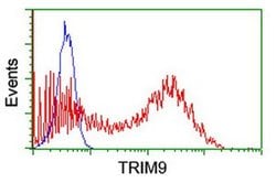 TRIM9 Monoclonal Antibody (OTI3C9), TrueMAB , OriGene:Antibodies:Primary