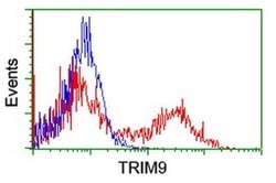 TRIM9 Monoclonal Antibody (OTI1E4), TrueMAB , OriGene 100 &mu;L; Unconjugated:Antibodies,