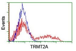 TRMT2A Mouse anti-Human, Clone: OTI1H2, lyophilized, TrueMAB 100 &mu;g;