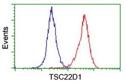 TSC22D1 Mouse anti-Human, Clone: OTI4H8, lyophilized, TrueMAB 100 &mu;g;