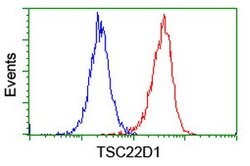 TSC22D1 Mouse anti-Human, Clone: OTI4H8, lyophilized, TrueMAB 100 &mu;g;