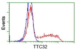 TTC32 Monoclonal Antibody (OTI3E11), TrueMAB , OriGene 30 &mu;L; Unconjugated:Antibodies,
