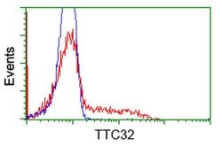TTC32 Monoclonal Antibody (OTI5C12), TrueMAB , OriGene 100 &mu;L; Unconjugated:Antibodies,