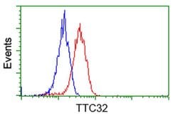 TTC32 Monoclonal Antibody (OTI5C12), TrueMAB , OriGene:Antibodies:Primary