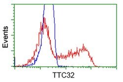 TTC32 Monoclonal Antibody (OTI2B9), TrueMAB , OriGene 30 &mu;L; Unconjugated:Antibodies,