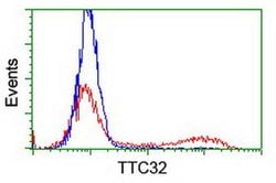 TTC32 Monoclonal Antibody (OTI4G10), TrueMAB , OriGene 30 &mu;L; Unconjugated:Antibodies,