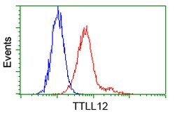 TTLL12 Mouse anti-Human, Clone: OTI13H9, lyophilized, TrueMAB 100 &mu;g;