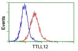 TTLL12 Mouse anti-Human, Clone: OTI13H9, lyophilized, TrueMAB 100 &mu;g;