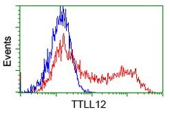 TTLL12 Mouse anti-Human, Clone: OTI4E3, lyophilized, TrueMAB 100 &mu;g;