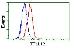 TTLL12 Mouse anti-Human, Clone: OTI4E3, lyophilized, TrueMAB 100 &mu;g;