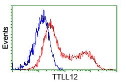 TTLL12 Mouse anti-Human, Rat, Clone: OTI4B2, lyophilized, TrueMAB 100 &mu;g;