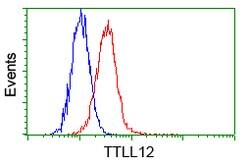 TTLL12 Mouse anti-Human, Rat, Clone: OTI4B2, lyophilized, TrueMAB 100 &mu;g;