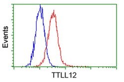 TTLL12 Mouse anti-Human, Rat, Clone: OTI4B2, liquid, TrueMAB 100 &mu;L;