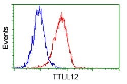 TTLL12 Mouse anti-Human, Rat, Clone: OTI4B2, lyophilized, TrueMAB 100 &mu;g;