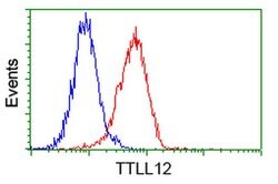 TTLL12 Mouse anti-Human, Rat, Clone: OTI4B2, liquid, TrueMAB 100 &mu;L;