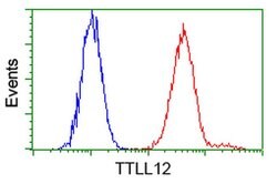 TTLL12 Mouse anti-Canine, Human, Rat, Clone: OTI7F11, liquid, TrueMAB 100