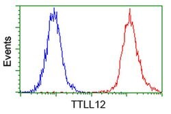 TTLL12 Mouse anti-Canine, Human, Rat, Clone: OTI7F11, liquid, TrueMAB 100