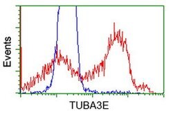 TUBA3E Mouse anti-Human, Clone: OTI2B4, lyophilized, TrueMAB 100 &mu;g;