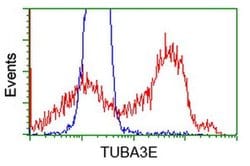 TUBA3E Monoclonal Antibody (OTI2B4), TrueMAB , OriGene:Antibodies:Primary