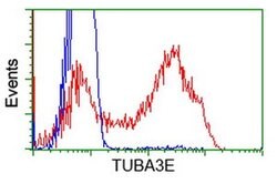 TUBA3E Monoclonal Antibody (OTI10B4), TrueMAB , OriGene:Antibodies:Primary