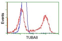 TUBA8 Mouse anti-Human, Clone: OTI3E10, lyophilized, TrueMAB 100 &mu;g;