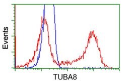 TUBA8 Monoclonal Antibody (OTI3E10), TrueMAB , OriGene 30 &mu;L; Unconjugated:Antibodies,