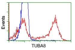TUBA8 Mouse anti-Human, Clone: OTI2E9, lyophilized, TrueMAB 100 &mu;g;