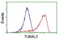 TUBAL3 Mouse anti-Human, Clone: OTI4D8, lyophilized, TrueMAB 100 &mu;g;