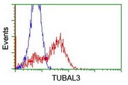 TUBAL3 Monoclonal Antibody (OTI4D9), TrueMAB , OriGene 100 &mu;L; Unconjugated:Antibodies,