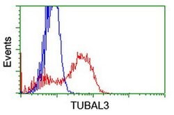 TUBAL3 Monoclonal Antibody (OTI1D7), TrueMAB , OriGene 100 &mu;L; Unconjugated:Antibodies,