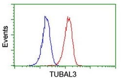 TUBAL3 Monoclonal Antibody (OTI1D7), TrueMAB , OriGene 100 &mu;L; Unconjugated:Antibodies,