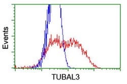 TUBAL3 Monoclonal Antibody (OTI1G6), TrueMAB , OriGene 100 &mu;L; Unconjugated:Antibodies,