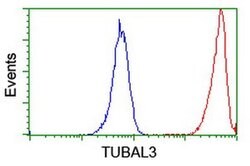 TUBAL3 Monoclonal Antibody (OTI1G6), TrueMAB , OriGene 100 &mu;L; Unconjugated:Antibodies,