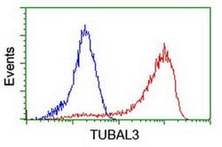 TUBAL3 Monoclonal Antibody (OTI2F6), TrueMAB , OriGene 30 &mu;L; Unconjugated:Antibodies,