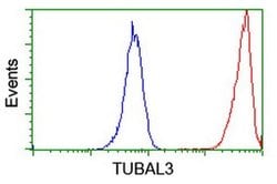 TUBAL3 Monoclonal Antibody (OTI2F6), TrueMAB , OriGene 30 &mu;L; Unconjugated:Antibodies,