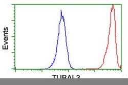 TUBAL3 Monoclonal Antibody (OTI1C2), TrueMAB , OriGene 30 &mu;L; Unconjugated:Antibodies,