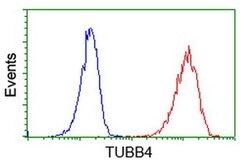TUBB4 Mouse anti-Human, Clone: OTI3C12, liquid, TrueMAB 100 &mu;L | Buy Online | OriGene | Fisher Scientific